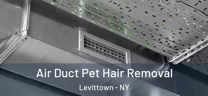 Air Duct Pet Hair Removal Levittown - NY