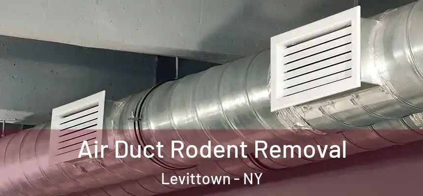  Air Duct Rodent Removal Levittown - NY