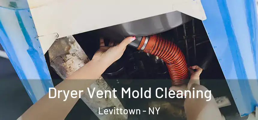 Dryer Vent Mold Cleaning Levittown - NY