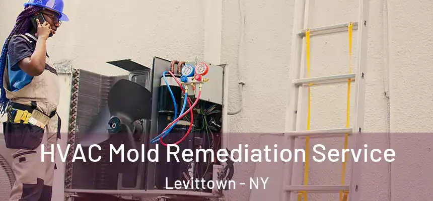  HVAC Mold Remediation Service Levittown - NY