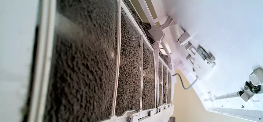 Preventive Air Duct Bacteria Removal in Levittown