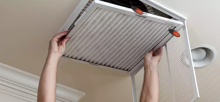 Preventive Cockroach-Proofing for Ducts in Levittown