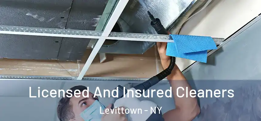 Licensed And Insured Cleaners Levittown - NY