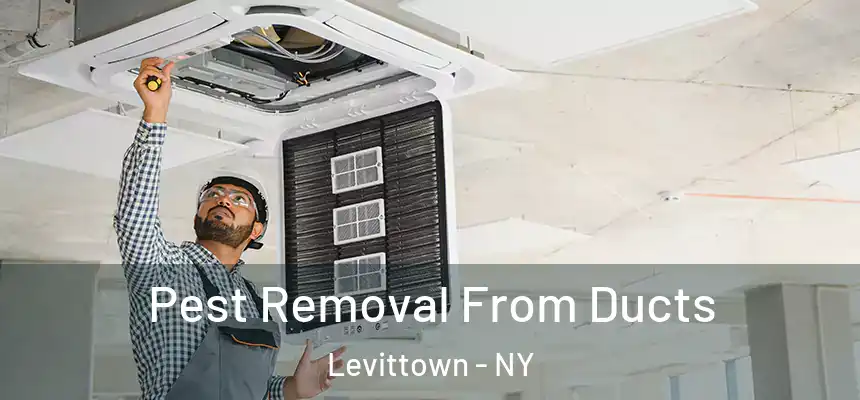 Pest Removal From Ducts Levittown - NY