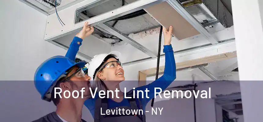 Roof Vent Lint Removal Levittown - NY