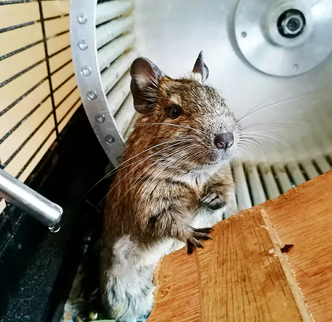 Why Homeowners & Businesses Trust Us Levittown, NY